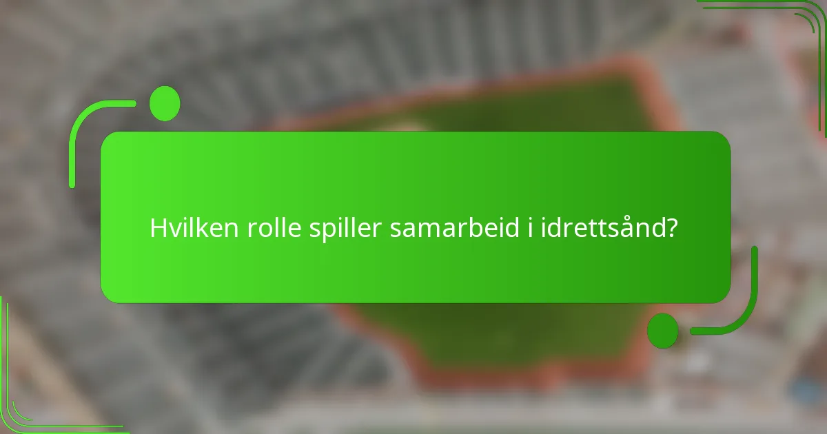 Hvilken rolle spiller samarbeid i idrettsånd?