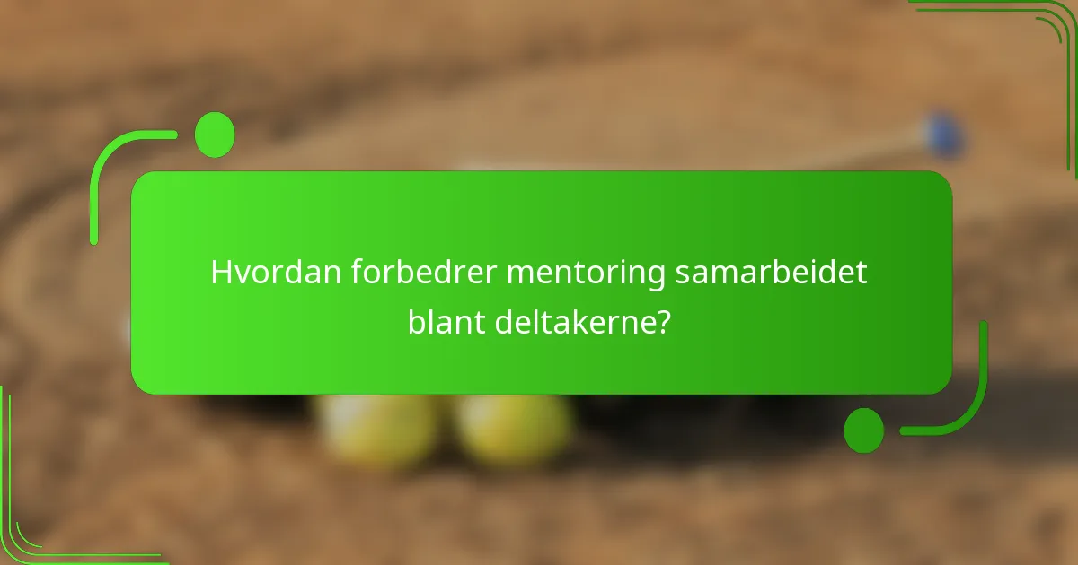 Hvordan forbedrer mentoring samarbeidet blant deltakerne?